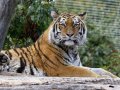 ZOO-Viden 24 srpen 2014 048.JPG